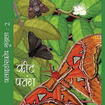 Keet Patang (Kaleidoscope Series 2)