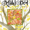 Cycle Dec-Jan 2024