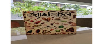 Cycle Bound Volume 2024-25