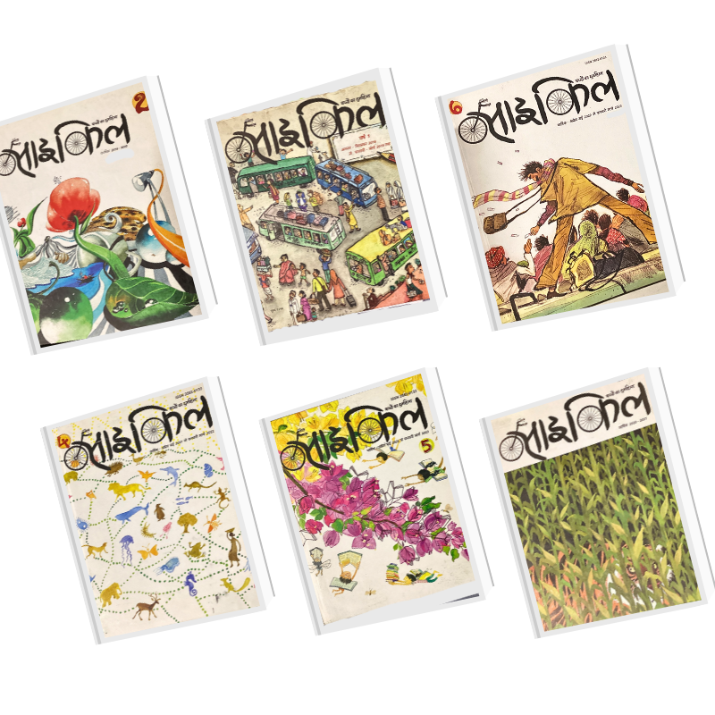 Cycle Bound Volume (6 Bound Volumes)