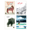 Book Bundle from 2020