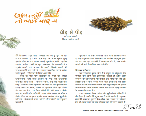 Cycle Dec-Jan 2026 Cycle Dec-Jan 2026