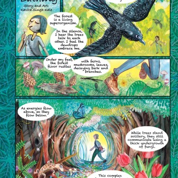 Comixense Jan-Mar 2023