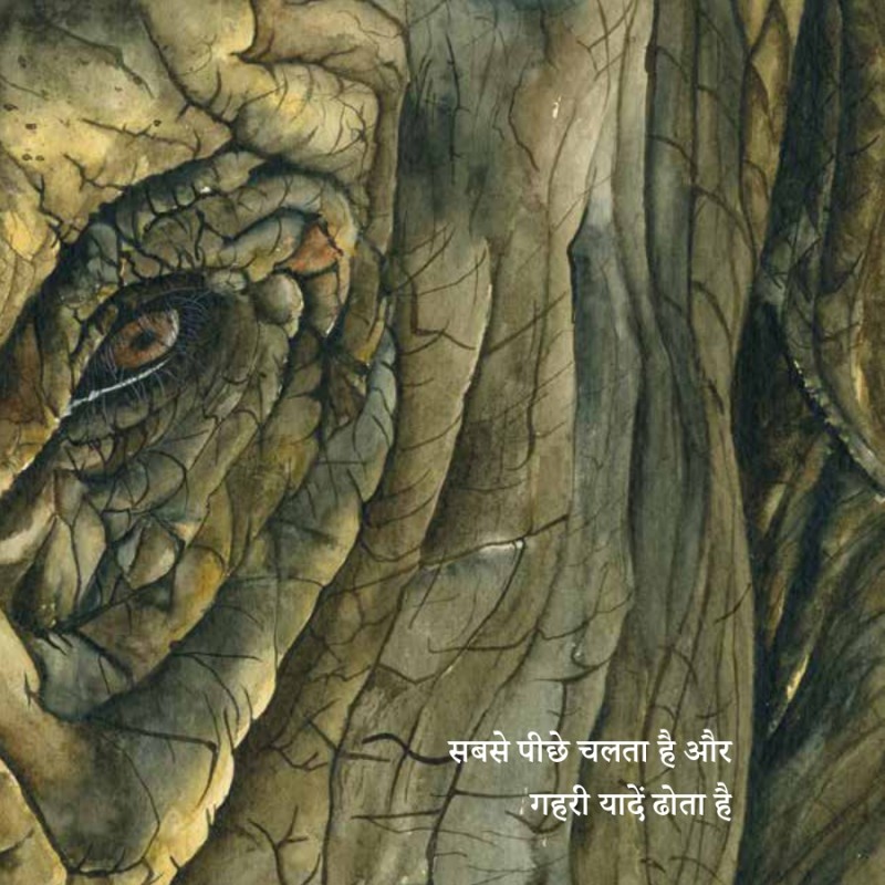 Haathiyon ki Toli
