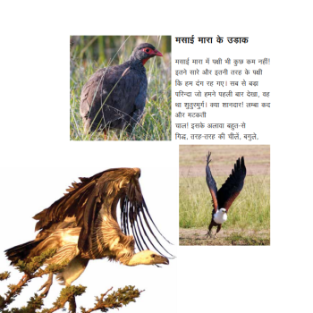 Masai Mara - E-book