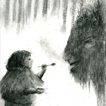 Mera Bison