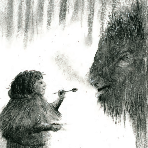 Mera Bison