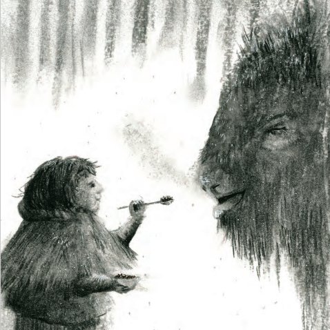 Mera Bison