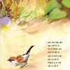 Pedon ki Amma