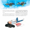 Philosophy for Children