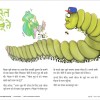 Poster Set for Early Readers-3
