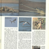 TES Orbit Jul-Sept 2013