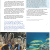 TES Orbit Jul-Sept 2019