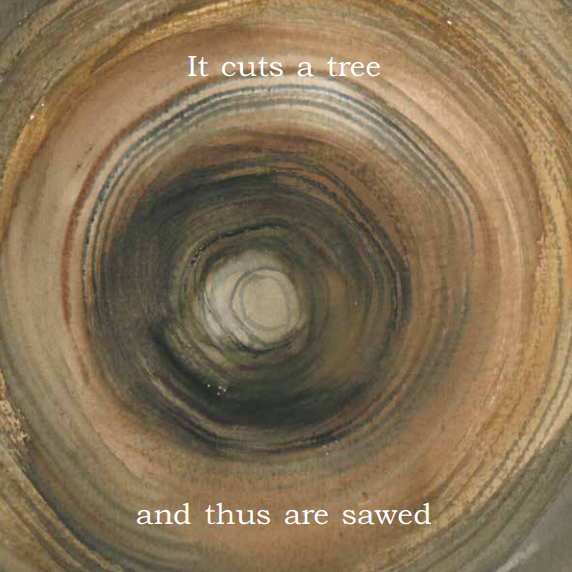 The Saw